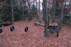 DSC_8121_result
