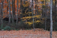 DSC_8131_result